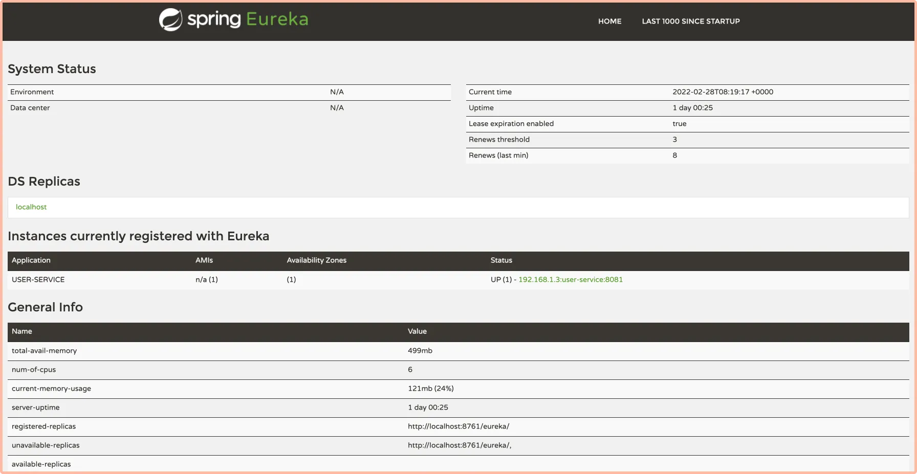 Eureka server up and running