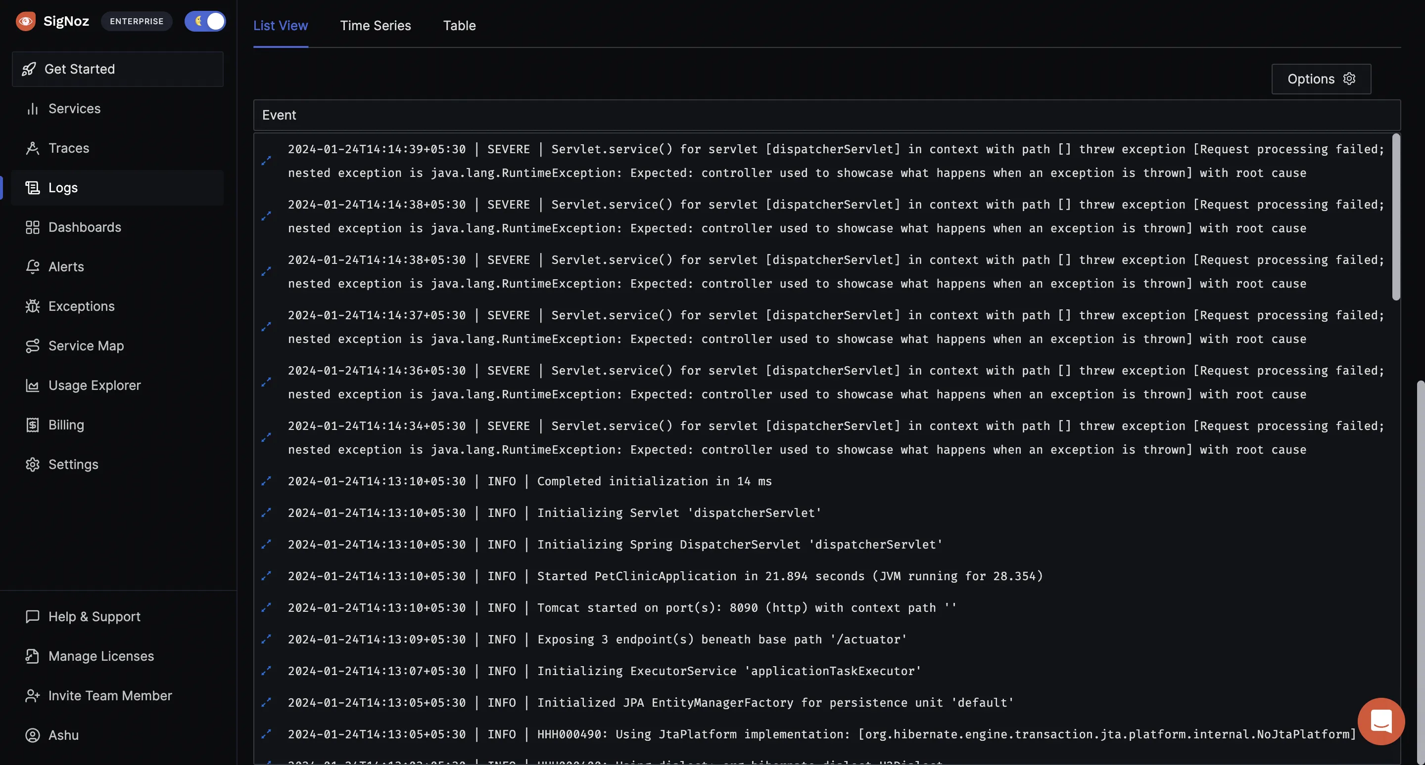 OpenTelemetry Spring Boot logs in raw view in SigNoz